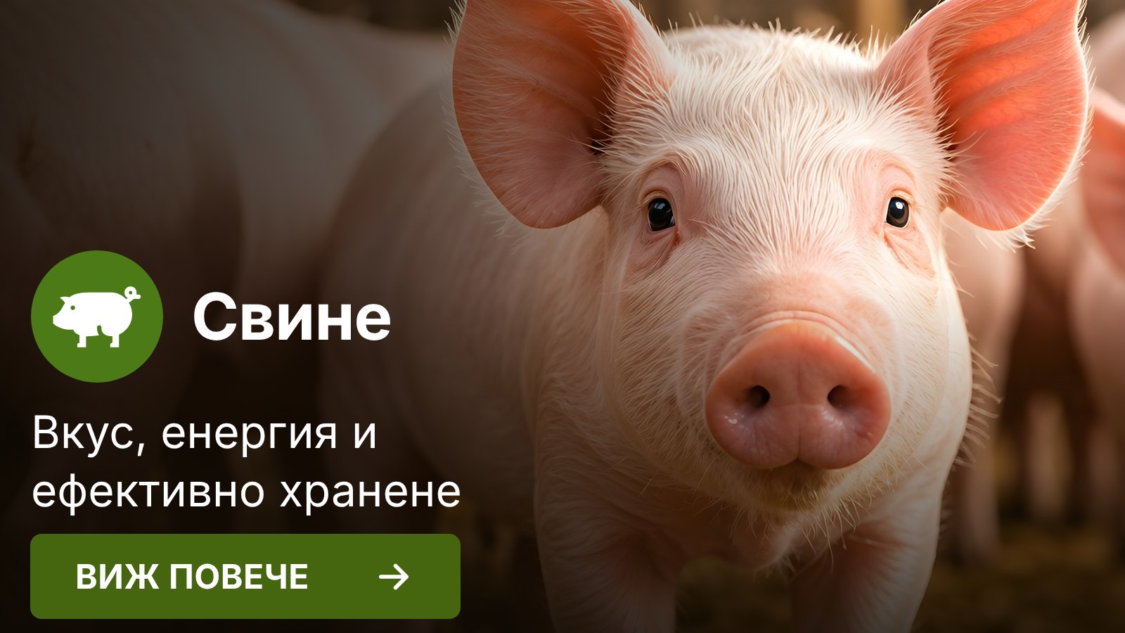 Свине
